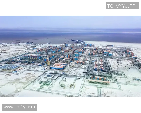 亚马尔地区的资源开发与国际合作前景分析与展望